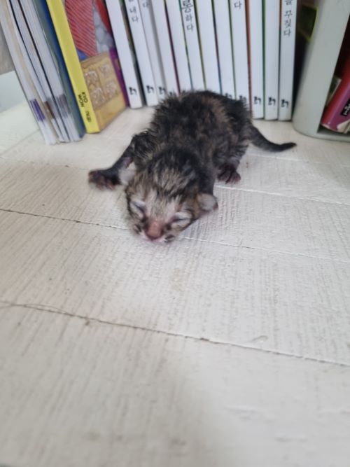 부안군 동물보호센터_445479202401079